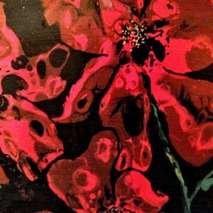 Meet your Posher, Kathleen